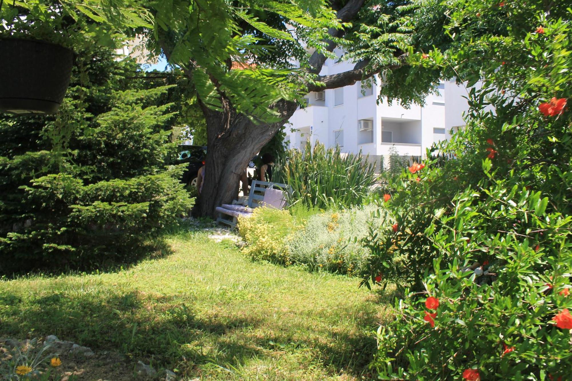 Apartments 501 - Rab Island Oasis Retreat Supetarska Draga Exteriör bild