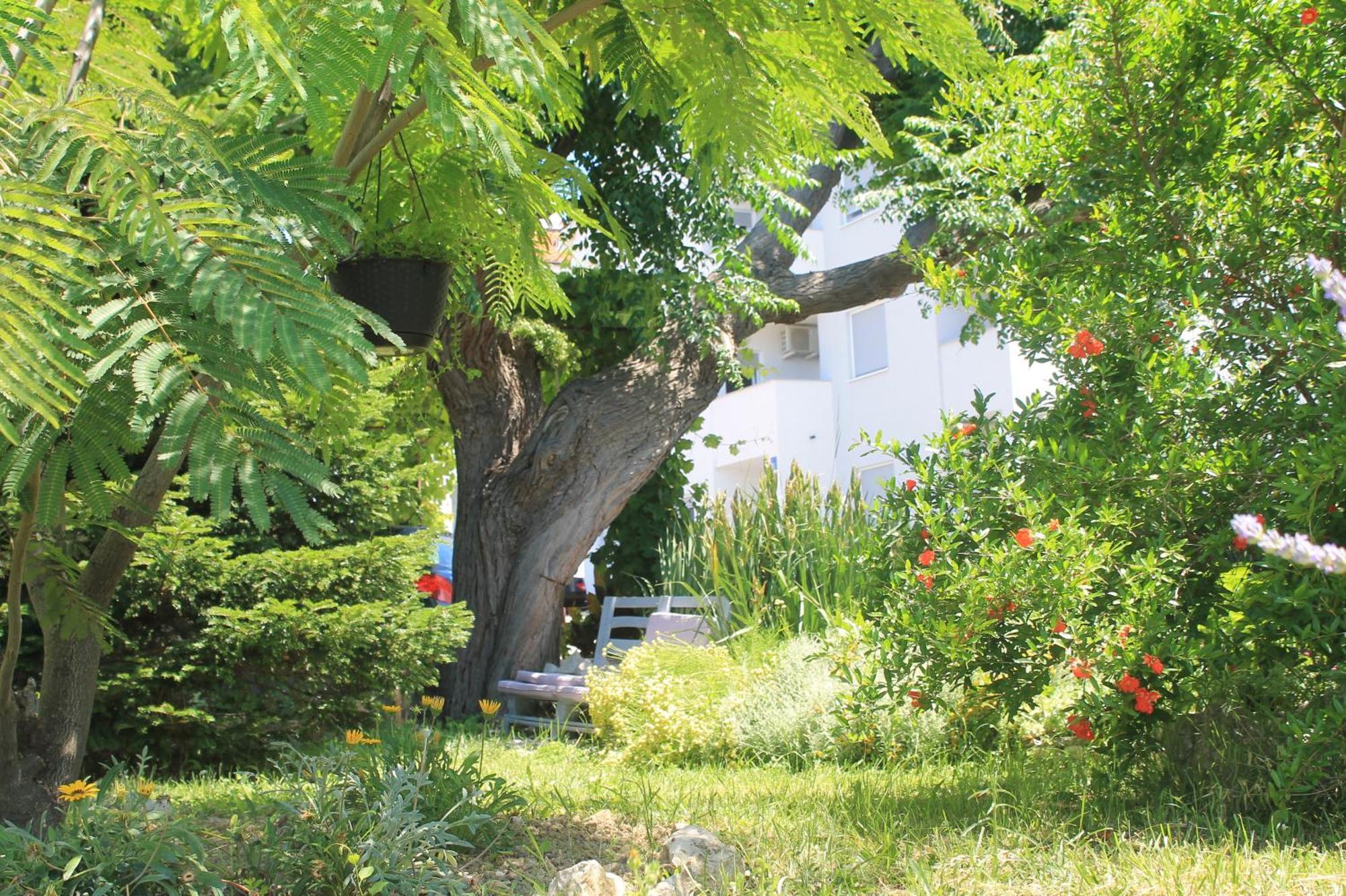 Apartments 501 - Rab Island Oasis Retreat Supetarska Draga Exteriör bild