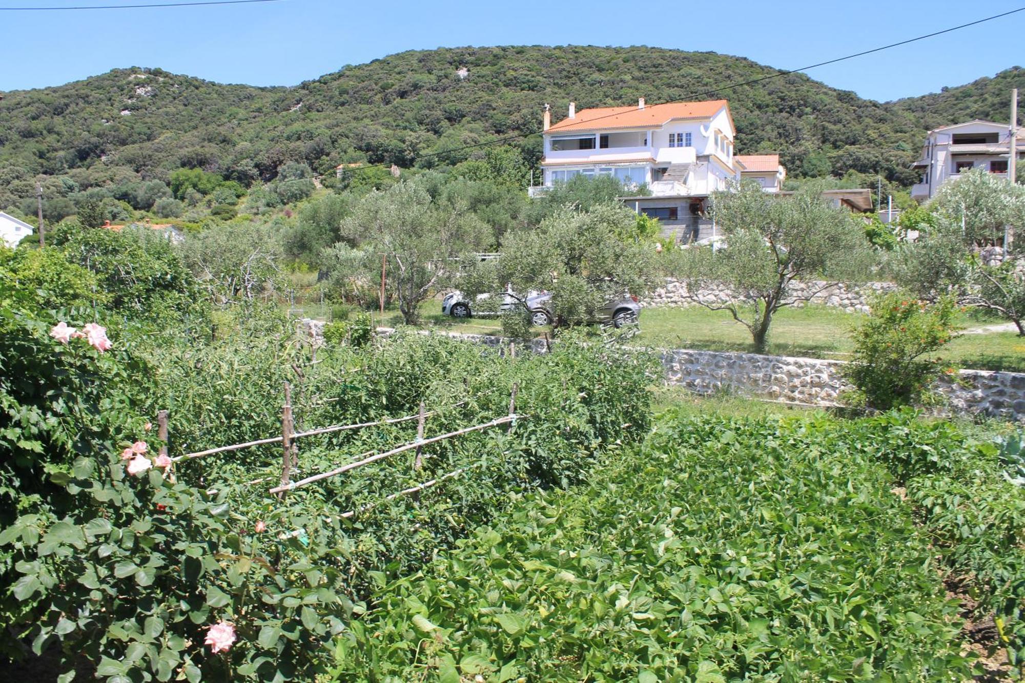 Apartments 501 - Rab Island Oasis Retreat Supetarska Draga Exteriör bild